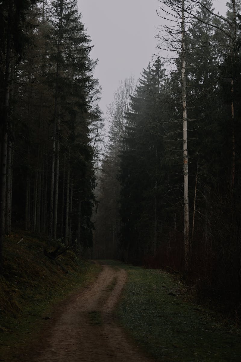 The psychological cost of avoiding midlife change