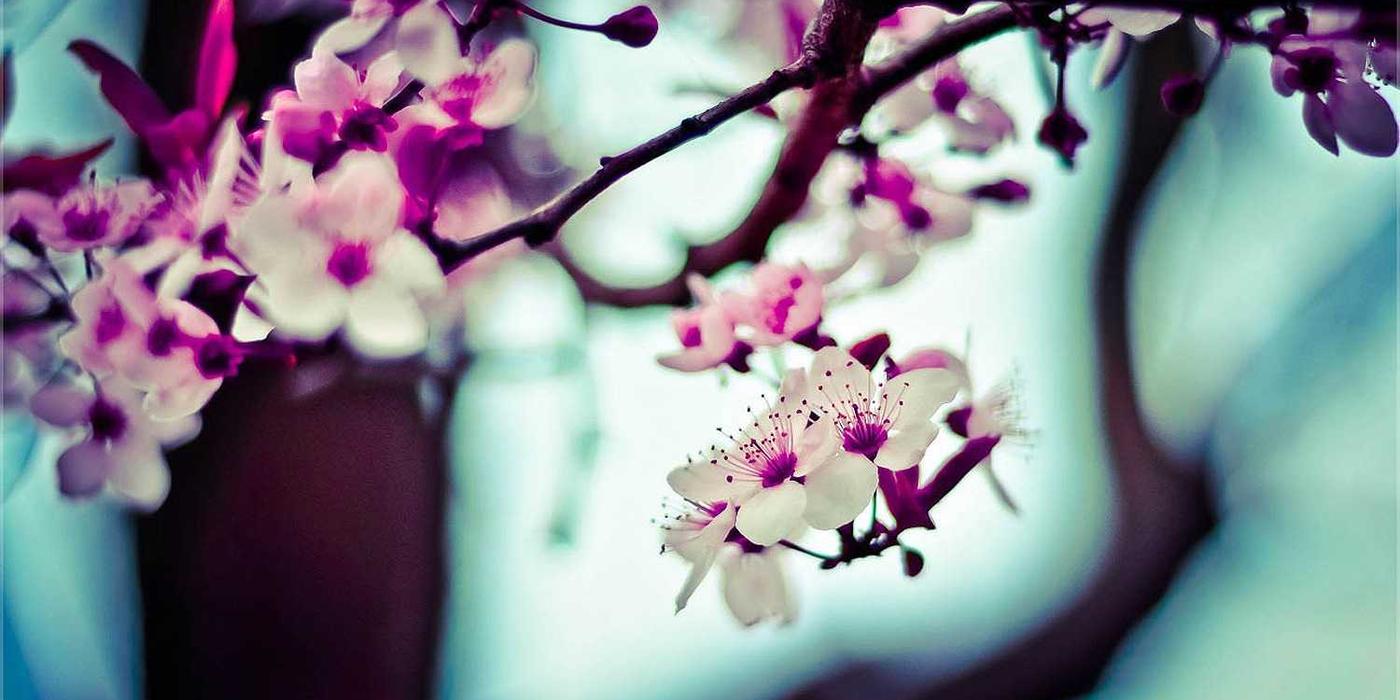 Perimenopause depression risk mental health crisis women