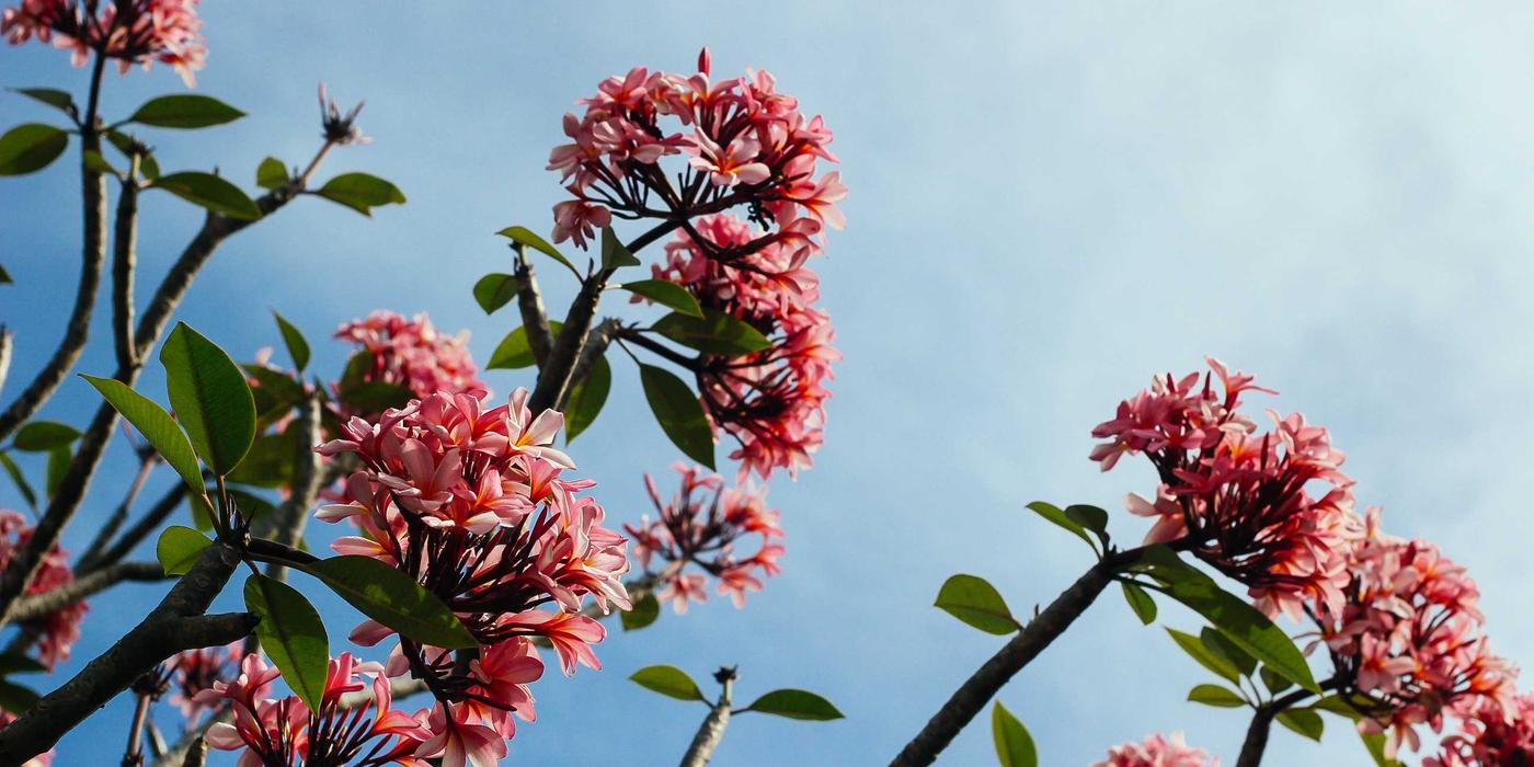 Woman on phone - perimenopause social media healthcare gap