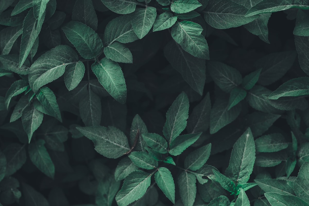 Woman seeking growth not because she is broken - personal development psychology